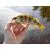 Виброхвосты съедобные LJ Pro Series Baby Rockfish 2,4in(06.10)/PA03 10шт