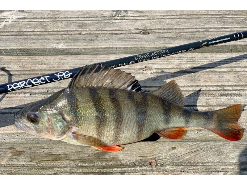 Спиннинг Crazy Fish Perfect Jig CFPJ-76-МL-T 2.30m 5-22g недорого в интернет магазине Спиннигист Лайф